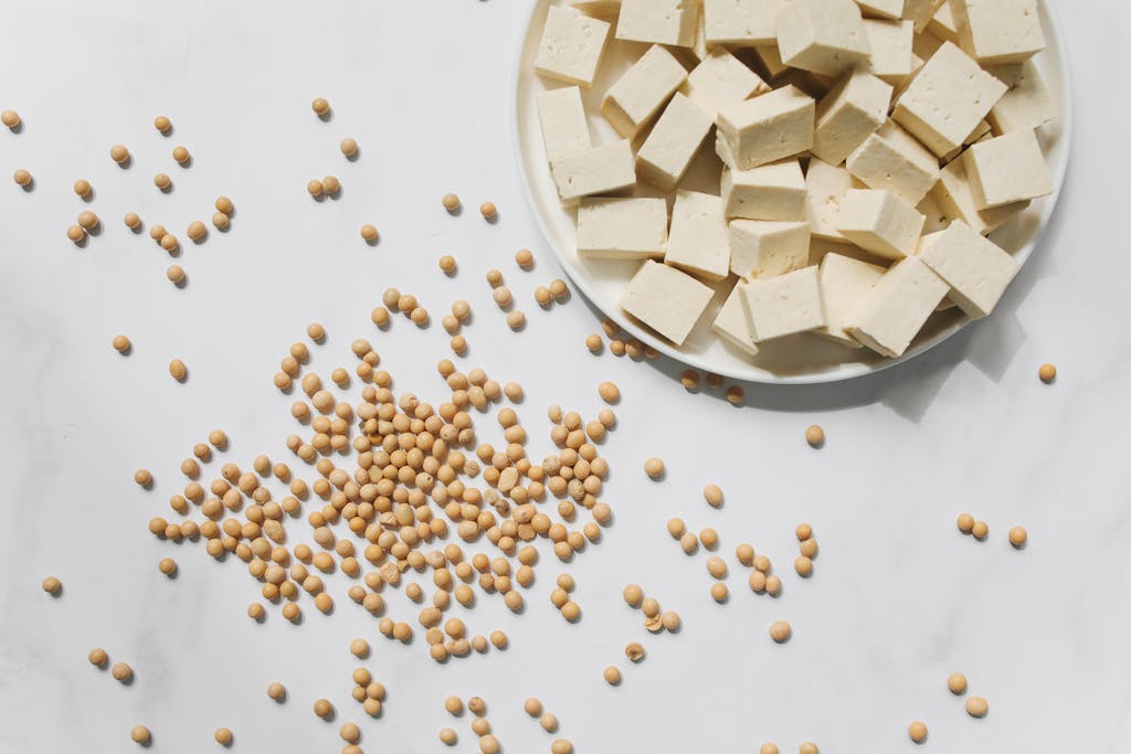 What is Tofu? The Ultimate Guide